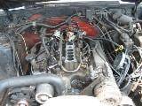 1986 Ford Mustang 5.0 HO T-5 Five Speed - Blue thumbnail 4
