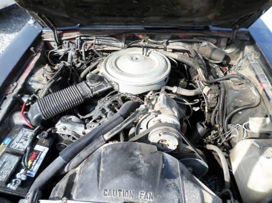 1983-1986 Mustang Coupe thumbnail 4