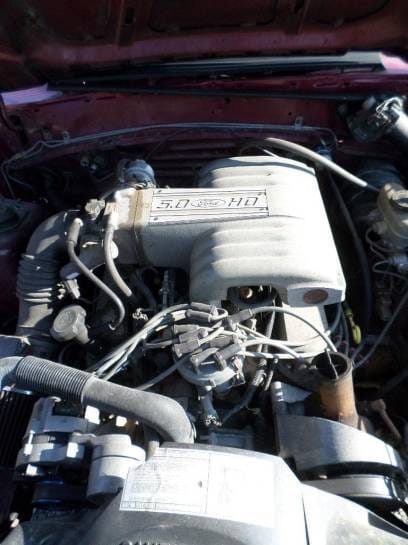 1989 Mustang Hatchback 5.0 thumbnail 5