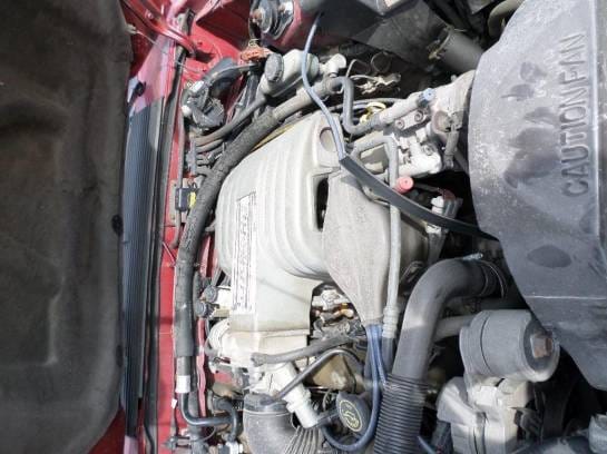 1992-1993 Mustang Coupe thumbnail 4