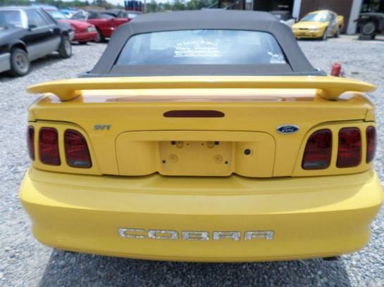1997 4.6 DOHC Cobra Convertible thumbnail 3