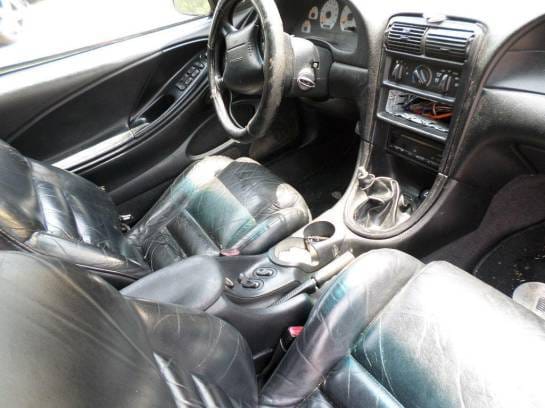 1997 4.6 DOHC Cobra Convertible thumbnail 4