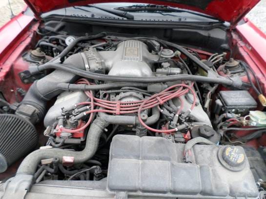 1996 4.6 DOHC Cobra Coupe thumbnail 5