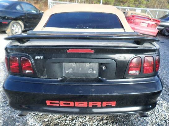 1998 4.6 DOHC Cobra Convertible thumbnail 3