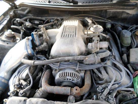1998 4.6 DOHC Cobra Convertible thumbnail 4