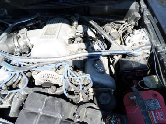 1997 4.6 DOHC Cobra Coupe thumbnail 5
