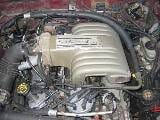1989 Ford Mustang 5.0 HO T-5 - Red thumbnail 5