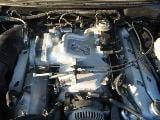 1999 Cobra 4.6 DOHC thumbnail 3