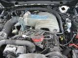 1989 Ford Mustang 5.0 5 Speed - Black thumbnail 4