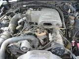 1989 Ford Mustang 5.0 5-Speed - Black thumbnail 4