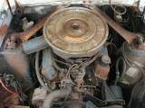 1967 Ford Mustang 289 - White thumbnail 4