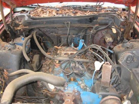 1973 Ford Mustang 302 - Red thumbnail 4