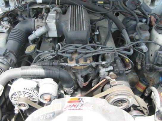1991 Ford Mustang 5.0 with custom intake Automatic AOD - White thumbnail 4