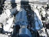 2004 Ford Mustang 4.6 4V Cobra 6 Speed- black thumbnail 5