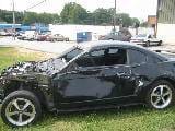 2004 Mach 1 thumbnail 3