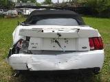 2004 Ford Mustang 4.6 4V SuperCharged  thumbnail 5