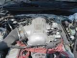 1998 Ford Mustang 4.6 4V Cobra 5 Speed - White thumbnail 5