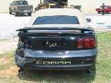1998 Ford Mustang 4.6 4V T-45 Cobra - Black thumbnail 5