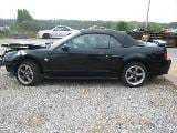 2004 Convertible 4.6 5 Speed thumbnail 2