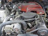 1993 Ford Mustang 5.0 HO T-5 Five Speed - White thumbnail 4