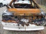 1993 Ford Mustang 5.0 HO T-5 Five Speed - White thumbnail 5