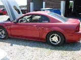 1999 Ford Mustang 5.4 8 cyl. T-45 Five Speed- Burgundy thumbnail 4