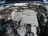 1990 Ford Mustang 5.0 5 Speed - White thumbnail 5