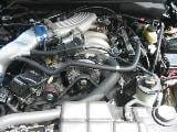 2001 Ford Mustang 4.6 Daytona Intake 5-Speed 3650 - Black thumbnail 4
