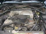 1995 Ford Mustang 5.0 5 Speed - Green thumbnail 4