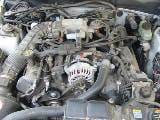 2001 Ford Mustang 4.6 AODE Automatic- White thumbnail 4