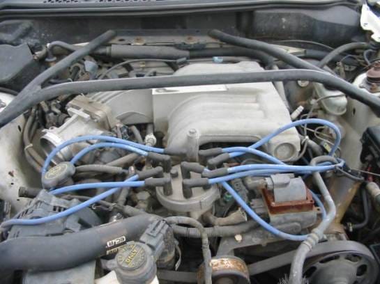 1995 Ford Mustang 5.0 T-5 Five Speed - Silver thumbnail 4