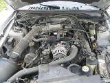 2003 Ford Mustang 4.6 5-Speed 3650- Silver thumbnail 4