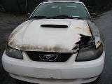 2003 Ford Mustang 4.6 3650 - White thumbnail 4