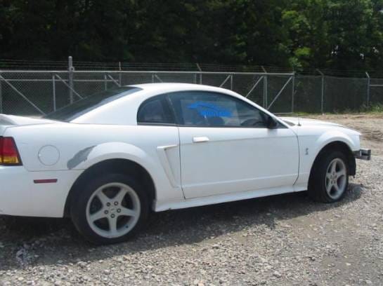 1999 Cobra Mustang Coupe thumbnail 2
