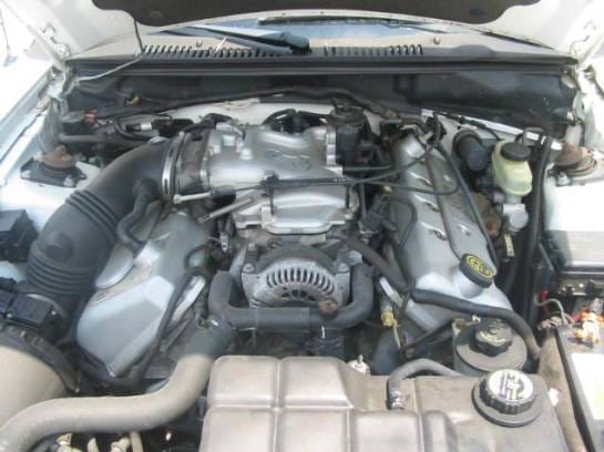 1999 Cobra Mustang Coupe thumbnail 5