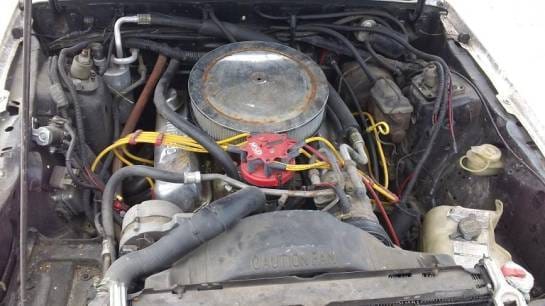 83-86 Ford Mustang Hatchback 5 Manual - White thumbnail 4
