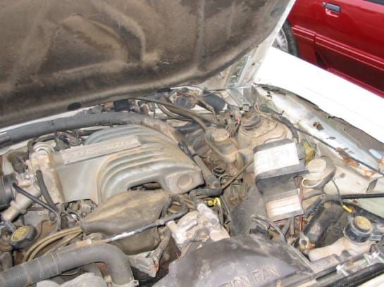 87-93 Ford Mustang Hatchback 5 Manual - White thumbnail 8