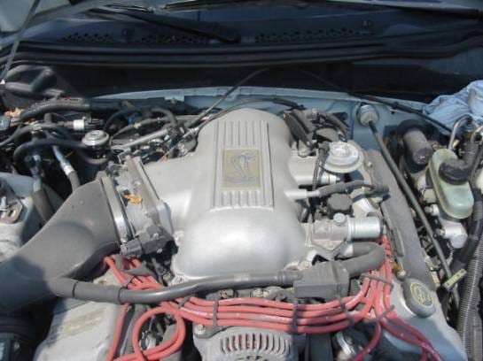 94-98 Ford Mustang Coupe 4.6 DOHC Manual - White thumbnail 5