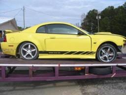 99-04 Ford Mustang Coupe  Manual - Yellow