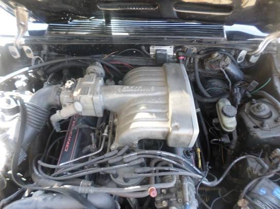 1987 Ford Mustang Hatchback 5.0 T5 thumbnail 7