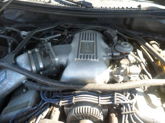 1996 Ford Mustang Mystic Cobra 4.6 DOHC T-45 thumbnail 7