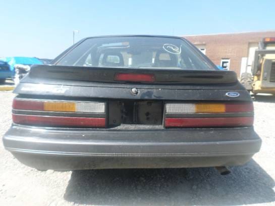 1986 Ford Mustang Ttop Hatchback 5.0  T5  thumbnail 3