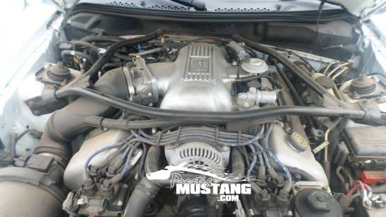 1996 Ford Mustang Cobra 4.6 DOHC T45 Manual Transmission thumbnail 7
