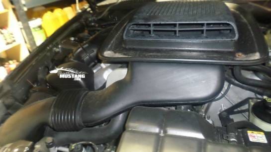 2004 Ford Mustang Mach1 4.6 T3650 thumbnail 7
