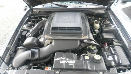 2004 Ford Mustang Mach1 4.6 T3650 thumbnail 8