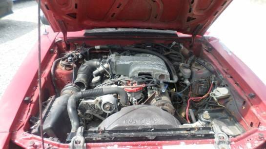 1989 Ford Mustang Convertible 5.0 thumbnail 5