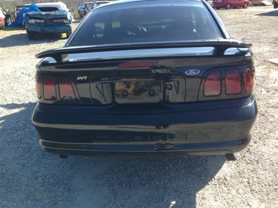 1998 Ford Mustang Cobra 4.6 Manual thumbnail 3