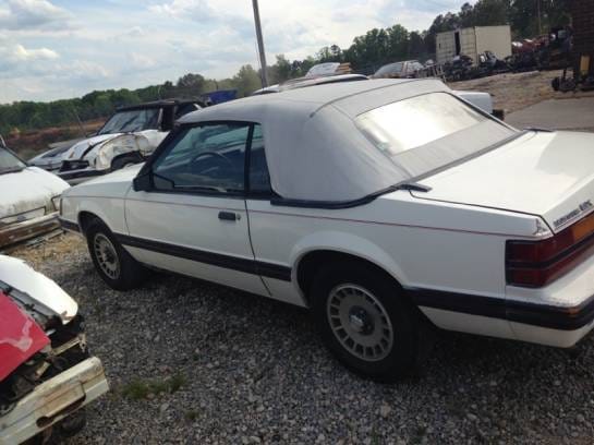 1983 Ford Mustang Convertible  thumbnail 2