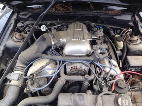 1998 Ford Mustang Cobra 4.6 Manual thumbnail 6