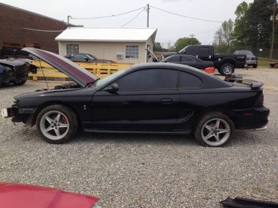 1998 Ford Mustang Cobra 4.6 Manual thumbnail 2